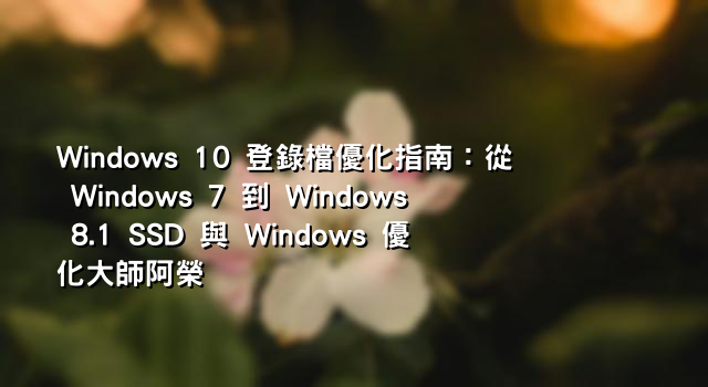 Windows 10 登錄檔優化指南：從 Windows 7 到 Windows 8.1 SSD 與 Windows 優化大師阿榮